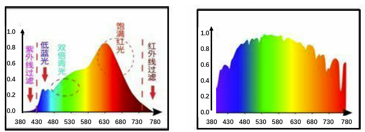 港澳六